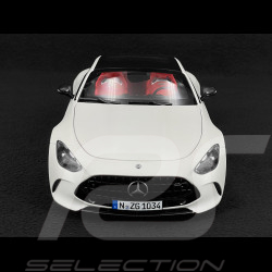 Mercedes-Benz AMG GT 63 4Matic - Opalite White Magno - 1:18 NZG 1034/41