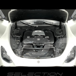 Mercedes-Benz AMG GT 63 4Matic - Blanc Opalite Magno - 1:18 NZG 1034/41