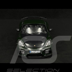 Porsche 718 Cayman GT4 RS 2023 Weissach Package Vert Brewster 1/18 Norev 187250