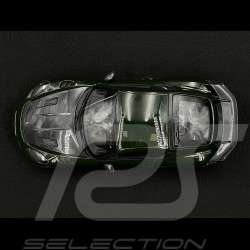 Porsche 718 Cayman GT4 RS 2023 Weissach Package Vert Brewster 1/18 Norev 187250