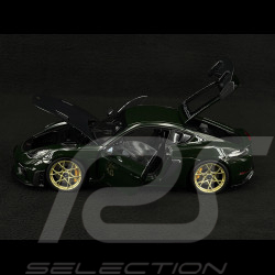 Porsche 718 Cayman GT4 RS 2023 Weissach Package Vert Brewster 1/18 Norev 187250