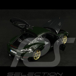 Porsche 718 Cayman GT4 RS 2023 Weissach Package Vert Brewster 1/18 Norev 187250