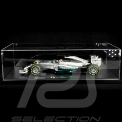 Lewis Hamilton Mercedes AMG F1 W05 Hybrid n°44 World Champion 2014 1/12 Minichamps 127140444