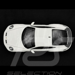 Porsche 911 Dakar Typ 992 2022 Weiß 1/18 Minichamps 110062070