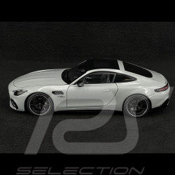 Mercedes-AMG GT 43 2024 Gris Alpin 1/18 NZG 105200059 1052/59