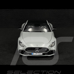 Mercedes-AMG GT 43 2024 Gris Alpin 1/18 NZG 105200059 1052/59