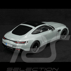 Mercedes-AMG GT 43 2024 Gris Alpin 1/18 NZG 105200059 1052/59