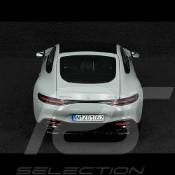 Mercedes-AMG GT 43 2024 Gris Alpin 1/18 NZG 105200059 1052/59