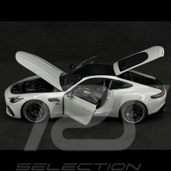 Mercedes-AMG GT 43 2024 Alpingrey 1/18 NZG 105200059 1052/59