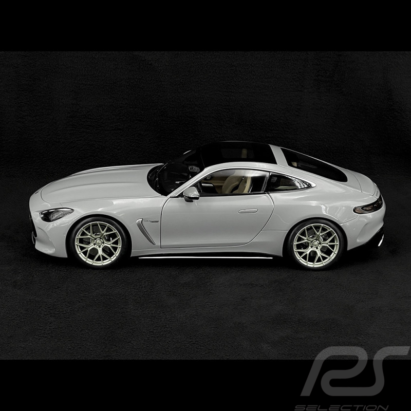 Mercedes-AMG GT 63 2024 Alpingrey 1/12 NZG 103310052 10331/52