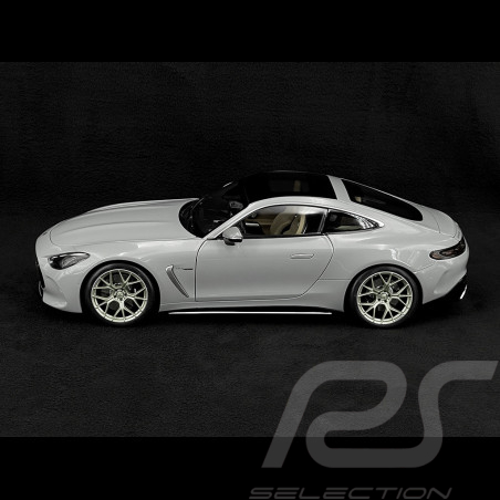 Mercedes-AMG GT 63 2024 Alpingrey 1/12 NZG 103310052 10331/52