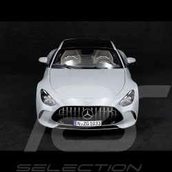 Mercedes-AMG GT 63 2024 Alpingrey 1/12 NZG 103310052 10331/52