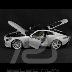 Mercedes-AMG GT 63 2024 Alpingrey 1/12 NZG 103310052 10331/52