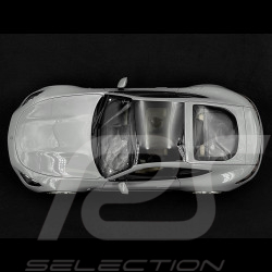 Mercedes-AMG GT 63 2024 Alpengrau 1/12 NZG 103310052 10331/52