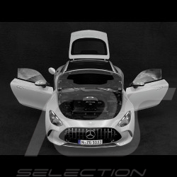 Mercedes-AMG GT 63 2024 Gris Alpin 1/12 NZG 103310052 10331/52