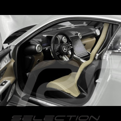 Mercedes-AMG GT 63 2024 Alpingrey 1/12 NZG 103310052 10331/52