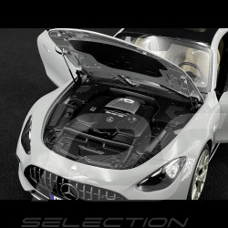 Mercedes-AMG GT 63 2024 Alpengrau 1/12 NZG 103310052 10331/52