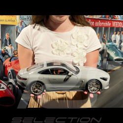 Mercedes-AMG GT 63 2024 Alpingrey 1/12 NZG 103310052 10331/52