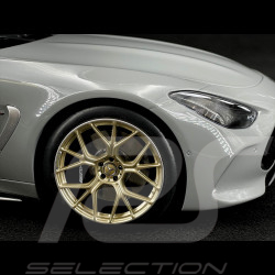 Mercedes-AMG GT 63 2024 Alpingrey 1/12 NZG 103310052 10331/52