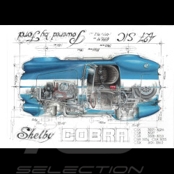 Banner Shelby Cobra 427 S/C 1965 Originalzeichnung von Sébastien Sauvadet