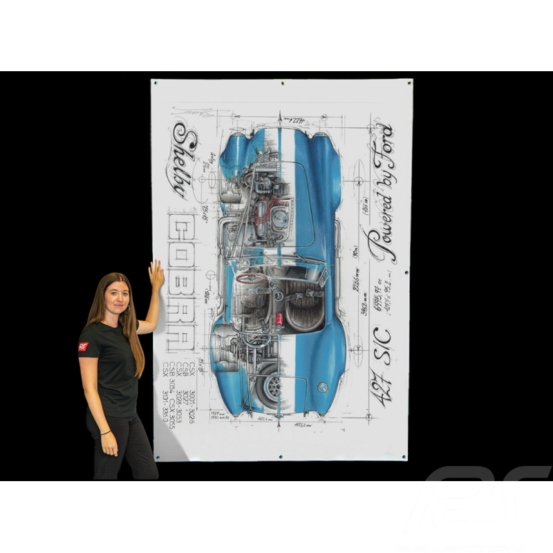 Bâche Shelby Cobra 427 S/C 1965 dessin original de Sébastien Sauvadet