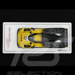 Cadillac V-Series R n° 01 2nd 12h Sebring 2024 1/43 TrueScale TSM430826