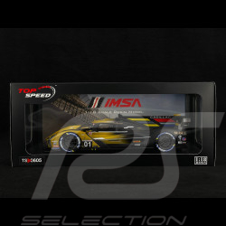 Cadillac V-SERIES.R n° 01 Klassensieger 12h Sebring 2024 1/18 Top Speed TS0605