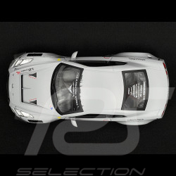 Nissan GT-R R35 W/Liberty Walk Body Kit 2.0 Fighter Livery 2024 Grey 1/18 Solido S1805821