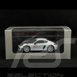 Porsche 718 Cayman GT4 RS Typ 982 Track Experience Weissach Package 2022 1/43 Minichamps WAP0204170PCAY
