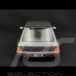 Peugeot 205 T16 Serie 200 1984 Winchestergrau 1/12 Ottomobile G091
