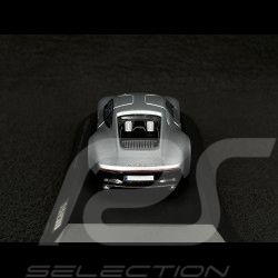 Porsche 904 Living Legend 2020 Silber 1/43 Spark WAP0204510T904