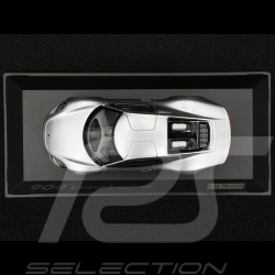 Porsche 904 Living Legend 2020 Silber 1/43 Spark WAP0204510T904