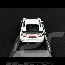 Porsche 718 Cayman GT4 RS Type 982 Tribute Weissach Package 2023 White / Green Stripes 1/43 Minichamps WAP0206010TCAY