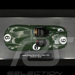 Jaguar D-Type Nr 6 Sieger 24h Le Mans 1955 Mike Hawthorn 1/18 CMR CMR192