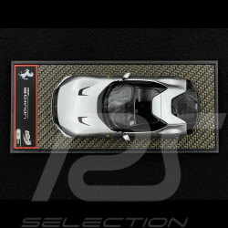 Ferrari 12Cilindri Coupe 2024 Argento Nürburgring 1/43 BBR Models BBRC299C