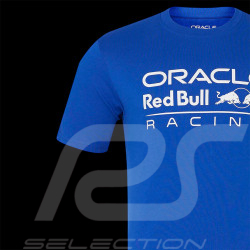Red Bull Racing F1 Team T-shirt Verstappen Logo Surf The Web TU3308-167 - Unisex