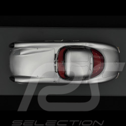 Mercedes-Benz 300 SLR Uhlenhaut Coupe 1955 Gris Argent 1/18 Schuco 18U00069