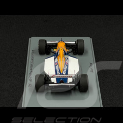 Alain Prost Williams FW15C n° 2 Sieger GP Frankreich 1993 F1 1/43 Spark S7476