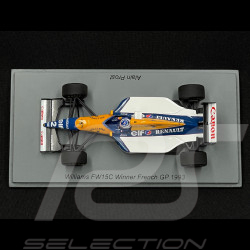 Alain Prost Williams FW15C n° 2 Vainqueur GP France 1993 F1 1/43 Spark S7476
