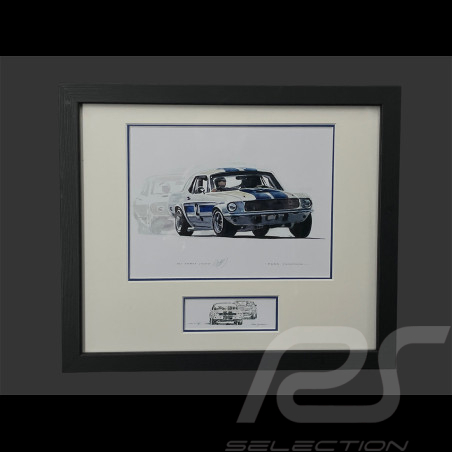 Marco para Ford Shelby...