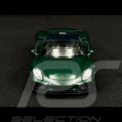 Porsche 918 Spyder 2014 Grün 1/24 Welly MAP02491825