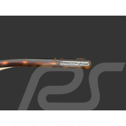 Red Bull Sonnenbrille X Spect Eyewear Goldrahmen / Grüne Polarisierte Gläser CORSAIR-001