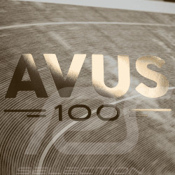 Avus Poster 100th Anniversary September 24 2021 50 x 70 cm PROD01002882