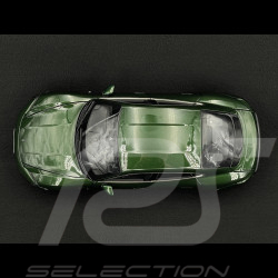 Porsche Taycan Turbo S 2024 Vert Chêne Neo 1/18 Norev 187655