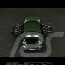 Porsche Taycan Turbo S 2024 Vert Chêne Neo 1/18 Norev 187655