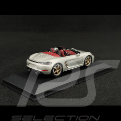 Porsche Boxster 25 Jahre Edition type 982 2021 GT silber grau 1/43 Minichamps WAP0202020MM7Z