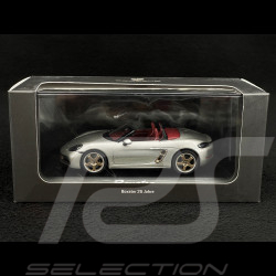 Porsche Boxster 25 Jahre Edition type 982 2021 GT silber grau 1/43 Minichamps WAP0202020MM7Z