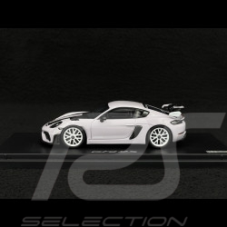 Porsche 718 GT4 RS Type 982 2024 Sonderwunsch Pierre de Lune 1/43 Spark WAP02054226GT4