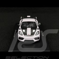 Porsche 718 GT4 RS Type 982 2024 Sonderwunsch Pierre de Lune 1/43 Spark WAP02054226GT4