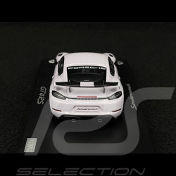 Porsche 718 GT4 RS Type 982 2024 Sonderwunsch Pierre de Lune 1/43 Spark WAP02054226GT4